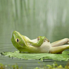 Meer gechill