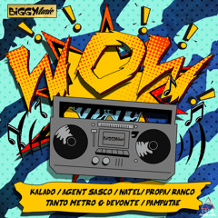 Agent Sasco - Different Ting (Wow Riddim) Biggy Music - January 2015