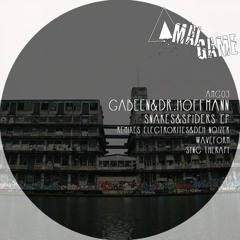 Gabeen & Dr.Hoffman - Snakes (Deh-Noizer & Electrorites Remix) [Amalgame Rec.]