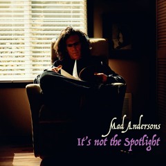 It's Not The Spotlight (Cover)