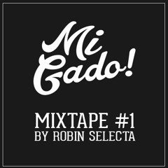 Mi Gado! Mixtape #1 By Robin Selecta