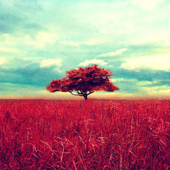 Gone With The Wind