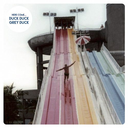 Duck Duck Grey Duck