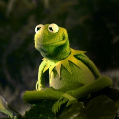 Kermit the Frog Covers | Kanye West – “Only One” (Feat. Paul McCartney)