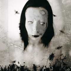 The Song Of The Chrysalis