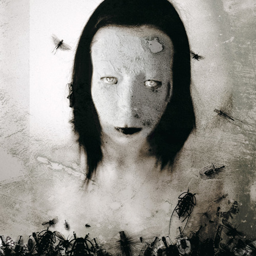 The Song Of The Chrysalis