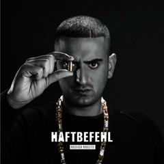 Haftbefehl feat Marteria - Ich rolle mit meim Besten (Selecta Doc Remix)