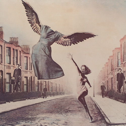 Shana Falana-Heavenstay