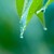 Artwork for The Study of Rain Drops - Lost Notes Society
