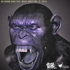 Drumz & Llingo - Da Bomb Shelter Beat-Ape Cassette 2015