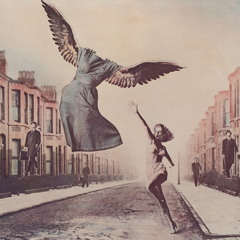 Shana Falana-Shine Thru