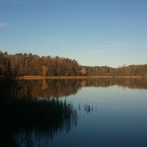 Der Pappellaubduft vom Klobichsee
