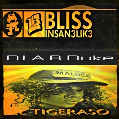 El Tigeraso ft  Bliss (DJ A.B.Duke)