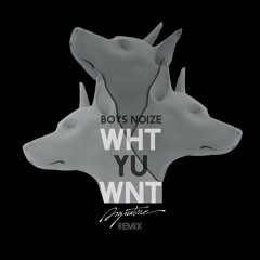 Boys Noize - What You Want (Signatvre Remix)