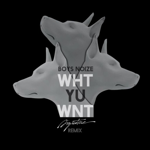 Boys Noize - What You Want (Signatvre Remix)