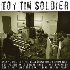Not Surprised - Toy Tin Soldier