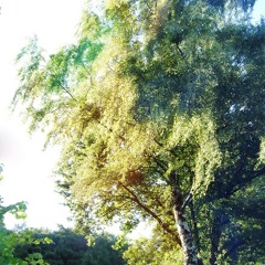 Andreas Bourani - Auf Anderen Wegen - Instrumental Cover