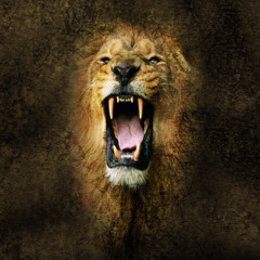 i'm the king
