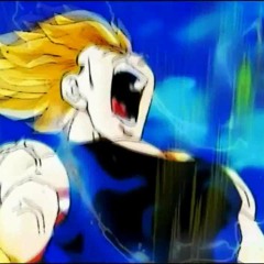 Vegeta's Pride