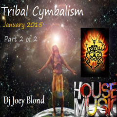 Tribal Cymbalism - Volume 1 - January 2015 (Part 2)