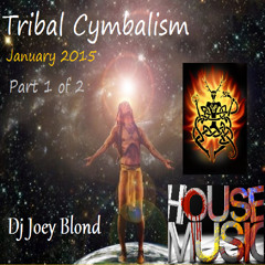 Tribal Cymbalism - Volume 1 - January 2015 (Part 1)