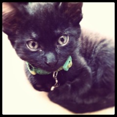 Where Is Our Smokey-  SD