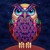 Artwork for Psychowl - (Psychedelic - Progressive - Dark) Trance Live Mix