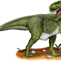 SalKiZoukaeton Megamix