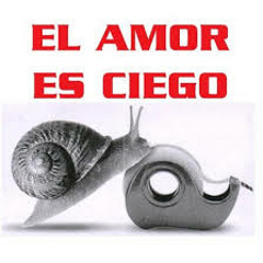 Amor Ciego