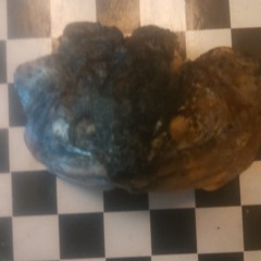 Pump Fake/Face Forward (preview version) [Formal Bad