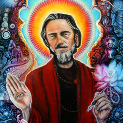 HOW WOULD YOU SPEND YOUR LIFE?_ e.T.7 FEATURING ALAN WATTS