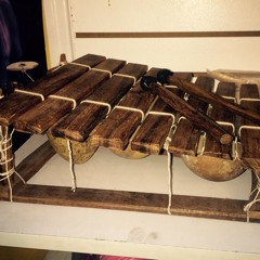 Prof Dr Diffy Queue GmbH