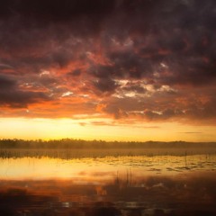 Eimer & Box - All Aboard?