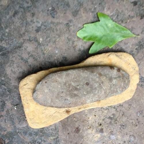 Stream How Turtle Flew South For The Winter By Poetry Church Listen