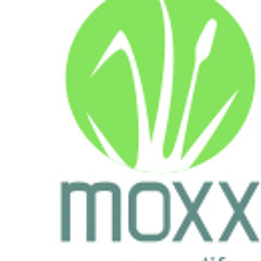 Moxx - Onwards and Upwards
