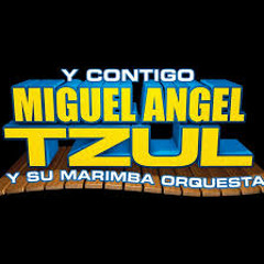MIGUEL ANGEL TZUL - La Luz
