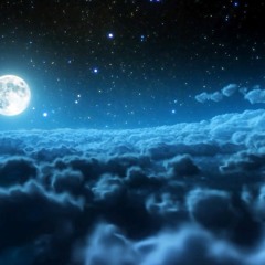 Stargazing With You
