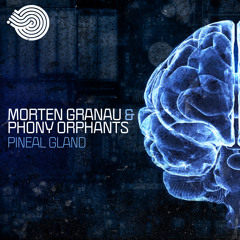 Phony Orphants & Morten Granau - Pineal Gland (Original)