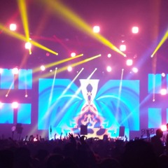 Wintergatan-Sommarfagel (Bassnectar Remix)((Basslights 2014 Night 2))
