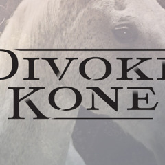 Divoke Kone - Vyznanie (Wild Horses - Declaration of Love)