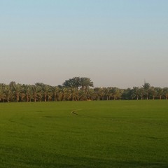 #غرناطة .. قصيدةٌ لـ #نزار_قباني