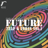 Man In The Mirror Demo 2 From Future Trap And Urban Vol 1 Mp3