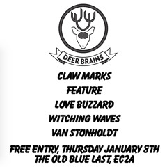 DEER BRAINS AT THE OLD BLUE LAST JANUARY 8TH 2015