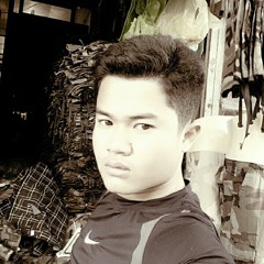 ចិត្តព្រៃផ្សៃ - ព្រាប សុវត្ថិ