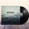 muddy-waters-quickyboy