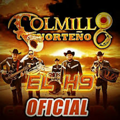 Colmillo Norteño - El H9