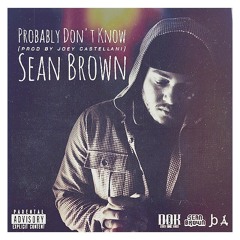 Sean Brown - Probably Don't Know (Prod by Joey Castellani)