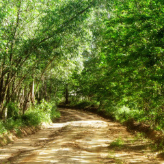 Se Essa Rua Fosse Minha - Piano
