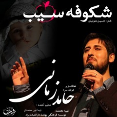 شکوفه سیب - حامد زمانی