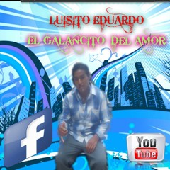 Fanny lucila saquikuni nicpy nuevo 2015